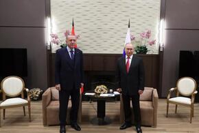 В Сочи начались переговоры Путина и Эрдогана