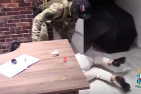  В Сочи полиция со спецназом накрыла офис финансовых мошенников