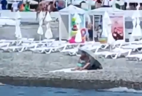 В Сочи туристка арендовала все шезлонги, чтобы отдыхать в одиночестве