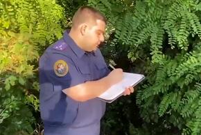 В Сочи возбудили уголовное дело после гибели женщины, упавшей в овраг