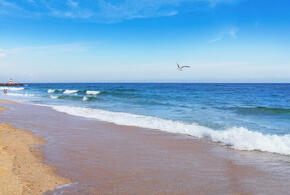 Жаркая и сухая погода установилась на Кубани