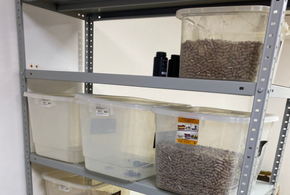 БАДы от всех болезней изготавливали на полу в Краснодаре