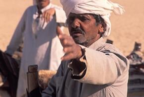 Фиктивные визы арабам оформляла парочка с Кубани