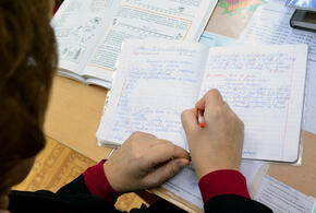 И вот опять: власти намерены внедрить автоматическую проверку домашних работ школьников