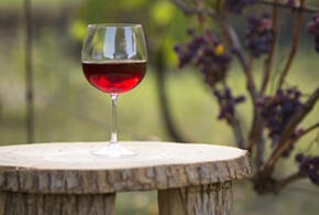 Из магазинов Кубани скоро исчезнут недорогие европейские вина