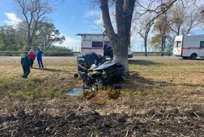 Легковушка врезалась в «КамАЗ» на Кубани, женщина-водитель погибла