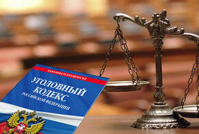 Медвежья услуга: глава сельского поселения Кубани помог земляку незаконно получить в собственность землю