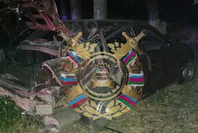 На Кубани после столкновения автомобиля с деревом пострадали три человека