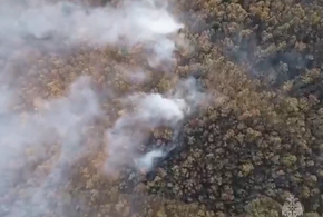 Огонь охватил почти 15 гектаров леса на Кубани