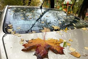 Пенсии и сигареты: что изменится в жизни россиян с ноября 2023 года