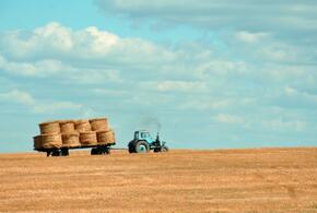 Сегодня в России празднуют День работника сельского хозяйства