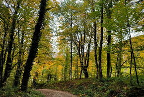 Синоптики рассказали, какой будет погода на Кубани 19 октября