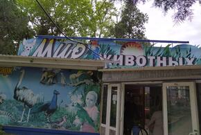 В Анапе закрыли контактный зоопарк «Мир животных»