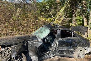 В Геленджике 17-летний подросток без прав погиб, врезавшись в дерево