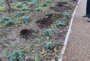 В Краснодаре разворовывается еще не готовый к эксплуатации Николаевский бульвар