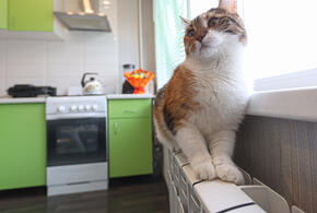 В Краснодаре стартовал отопительный сезон, но пока без подачи тепла