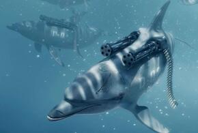 ВМФ России будет использовать дельфинов для защиты кораблей от водолазов-минеров