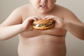 Врач-диетолог дала совет, как бороться с детским ожирением