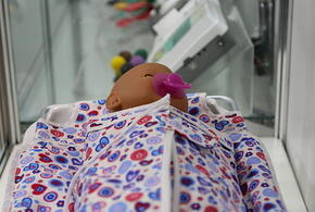  Аборты больше не будут делать в частных клиниках Кры