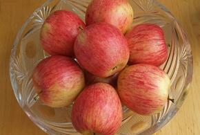 До отравления и судорог: что опасного в яблоке и вишне?