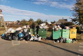 Краснодар погряз в свалках: власти ищут выход