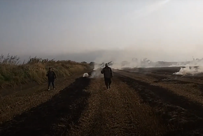 Кубань опять накроет дым от сжигания рисовой соломы