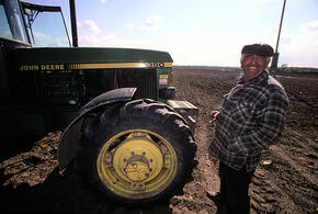 Никто не хочет работать: в Краснодарском крае не хватает трактористов и скотников