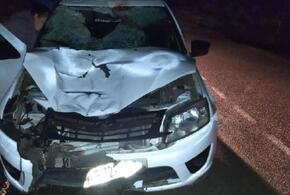 Отвечать за две жизни: на Кубани будут судить водителя, сбившего насмерть мужчину и 9-летнюю девочку