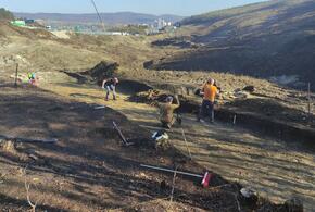 Под Новороссийском на месте будущей развязки нашли останки древнего воина и его коня 