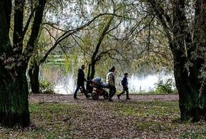 Погода на Кубани: в среду в крае без осадков, воздух прогреется до 22 градусов