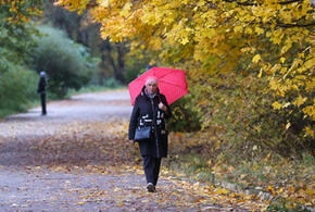Прогноз синоптиков: какой будет погода с 13 по 19 ноября на Кубани