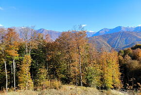 Росгидромет: Краснодарский край в ближайшие дни ожидает аномально теплая погода