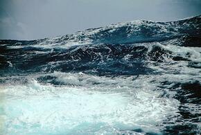 Северян, спасших в Сочи во время шторма парня и девушку, представили к наградам