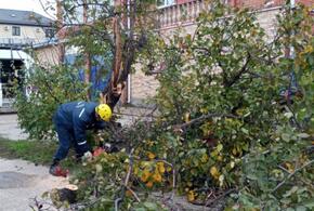 Более полусотни спасателей и два десятка автомобилей работают над расчисткой улиц в усиленном режиме