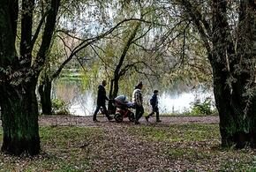 Синоптики рассказали, какой будет погода на Кубани 3 ноября