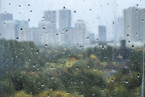 Синоптики рассказали, какой будет погода в понедельник, 27 ноября