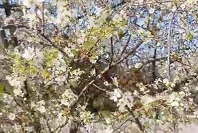 Тепло еще будет: к чему приведут аномально высокие температуры на Кубани