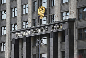 В Госдуме предложили создать приюты для  беременных