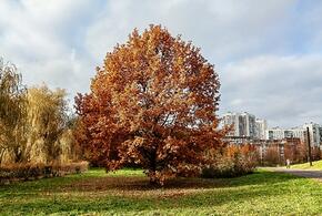 В Краснодарском крае сегодня снова потеплеет, дожди прекратятся