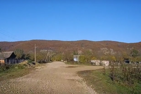 В Северском районе Кубани хотят выращивать ягоды премиум-класса