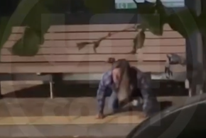 В Сочи неадекват, стоя на четвереньках, не подпускал людей к автобусной остановке