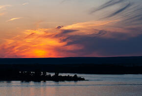  Врач рассказал, как влияют магнитные бури на организм человека