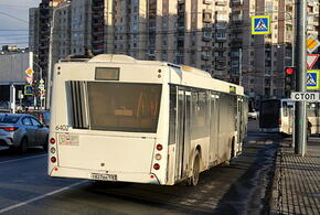 Врачи дали совет россиянам, что делать, чтобы не заразиться в общественном транспорте