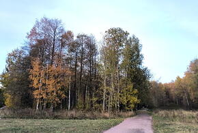 Выше 30 градусов: на Кубани обновлен абсолютный рекорд по теплу за всю историю наблюдений