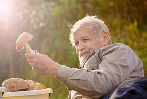 Житель Новороссийска накормил ядовитыми грибами своих родных и соседку