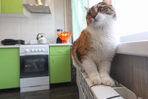 Жители ЮМР в Краснодаре на выходные останутся без отопления