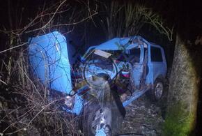 38-летний мужчина за рулем «Нивы» в Мостовском районе Кубани врезался в дерево и погиб