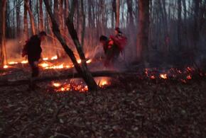 Больше пяти часов спасатели тушат лесной пожар в Краснодарском крае