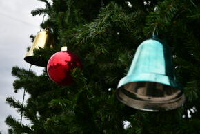 Что делать в праздники: стало известно, какие мероприятия в Краснодаре можно посетить в новогодние каникулы