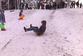 На Кубани дожди сменятся снегом